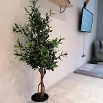 Via Corso