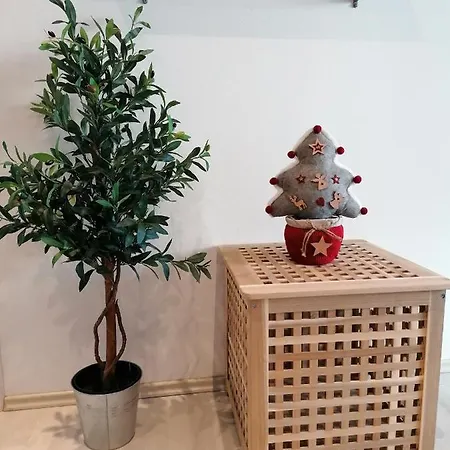 Appartement Via Corso *